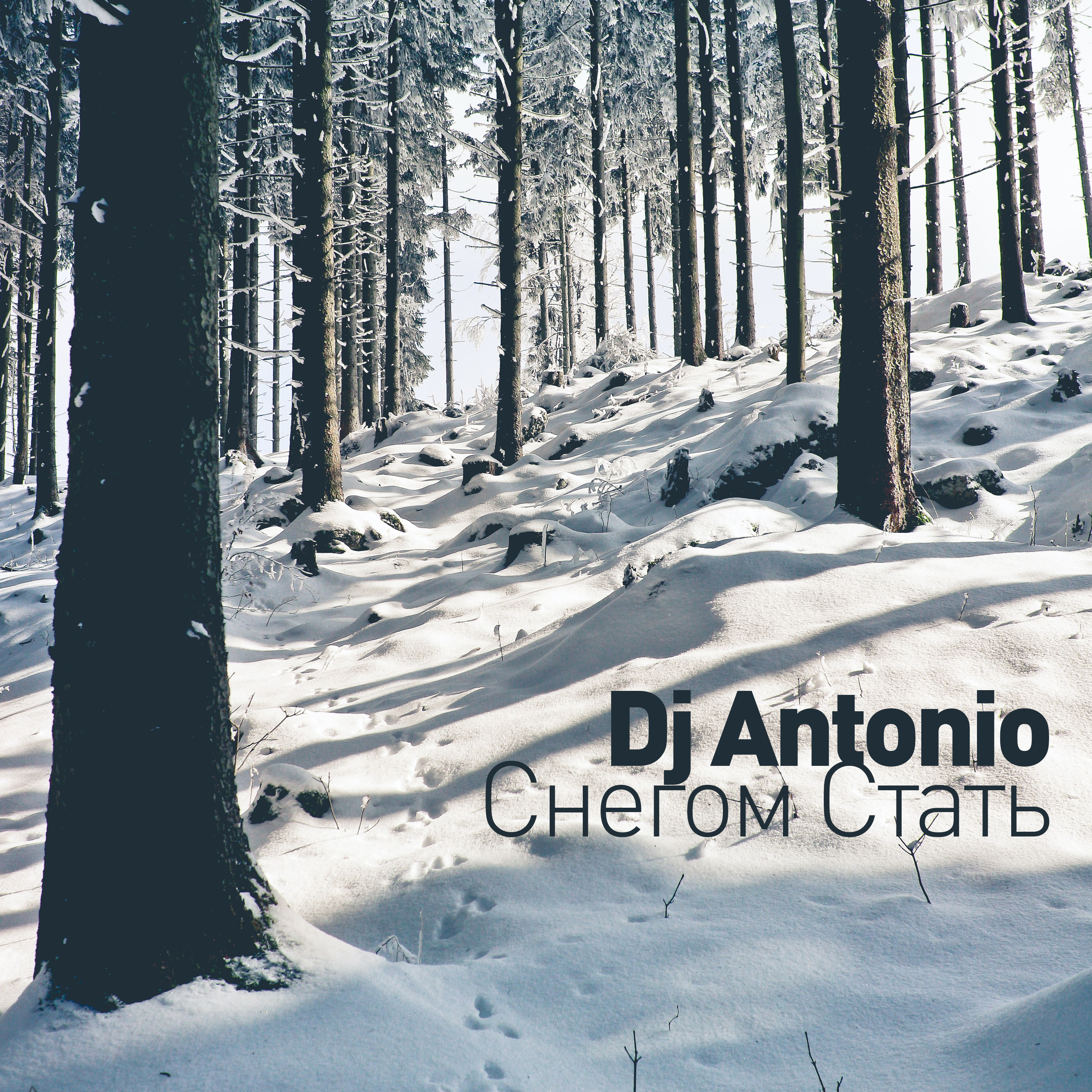 Стану снегом. Снегом стать. Дж Антонио снегом стать. DJ Antonio - снегом стать обложка. Жин-жин снегом.